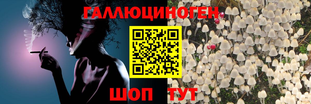 ГАШ  Конопля  Кокаин  Вход с VPN  Экстази  Гашиш  Йошкар-Ола  Меф МЯУ МЯУ кристаллы  Купить наркотик 